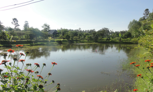Großer Teich hinter dem Haus - Thailand - 