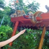 Besuch der Affenbande