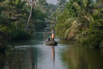 Die Backwaters sind ein must-see in Kerala und unvergesslich schön! - Indien - 