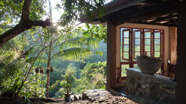 Unsere ECO-Lodge mitten im Regenwald - Sri Lanka - 