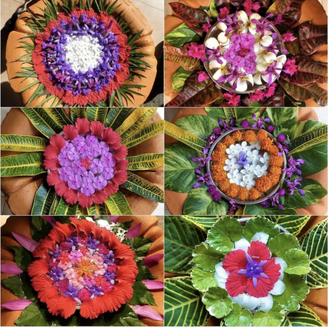 Täglich frische Blumen Mandalas in unserem Ayurveda Centrum - Sri Lanka - 