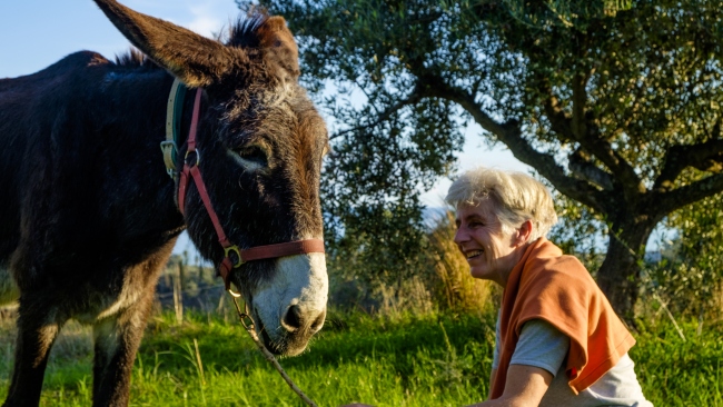 Petros, unser Esel, genießt ruhige Spaziergänge - Griechenland - 