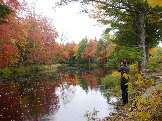 Ein bunter Spaziergang im Herbst - Kanada - 