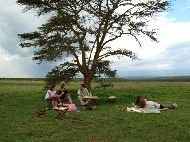 Picknick während einer Safari auf Solio  - Kenia - 
