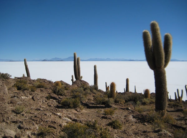 Salzsee von Uyuni - Bolivien - 