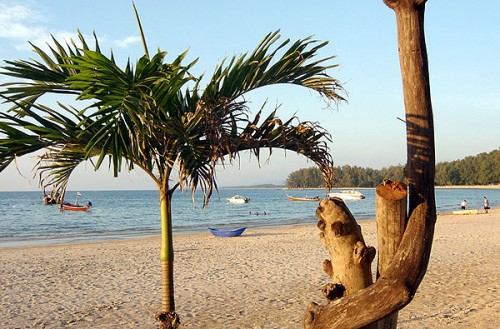 Urlaub unter Palmen - Thailand - 