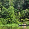 Kanal von Tortuguero im Regenwald Costa Ricas