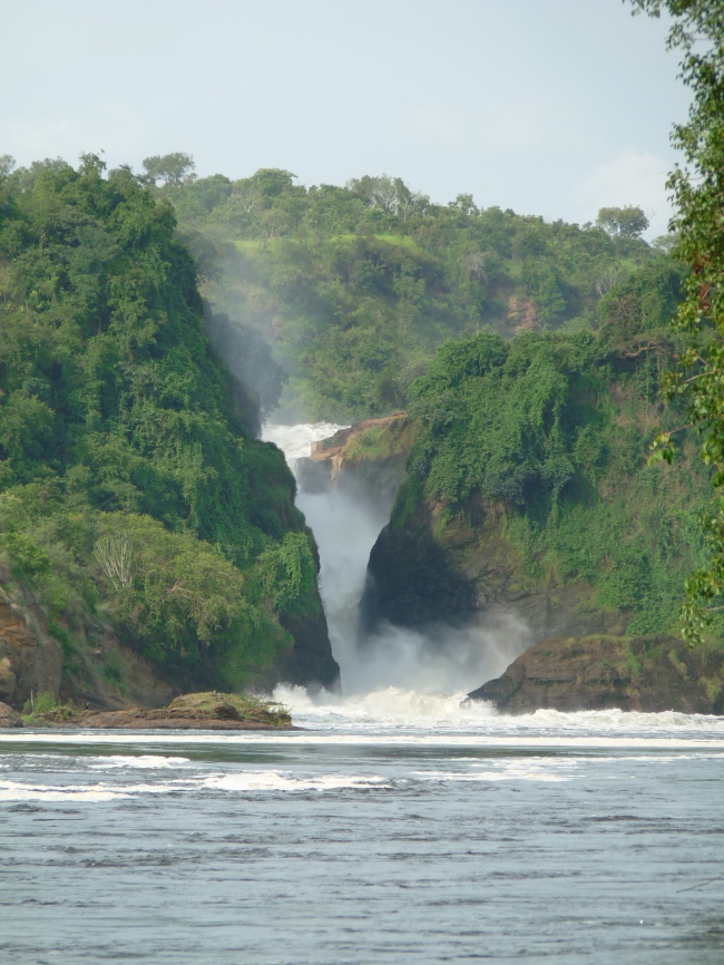 Nil bei den Murchison Falls  - Uganda - 