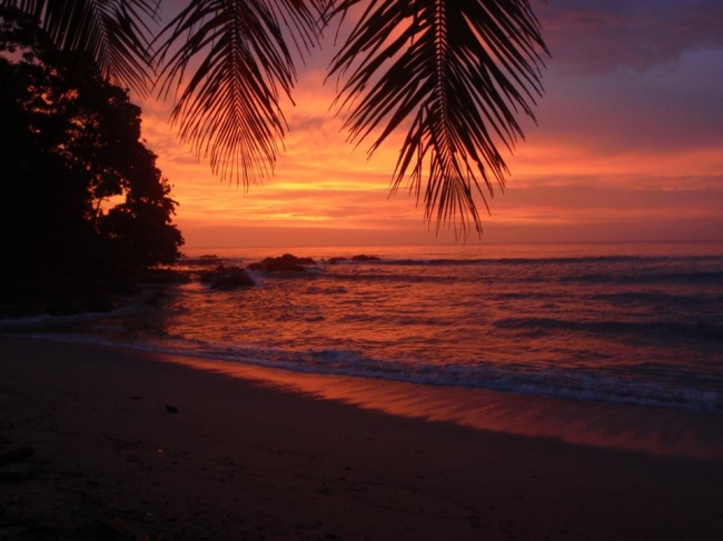 Die Sonnenuntergänge bei uns sind unbeschreiblich - Costa Rica - 