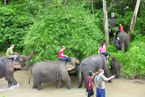 Abenteuerlich-schöner Ritt durch Flusslandschaften - Thailand - 