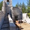 Castiglione Kirchenruine mit intakter Glocke