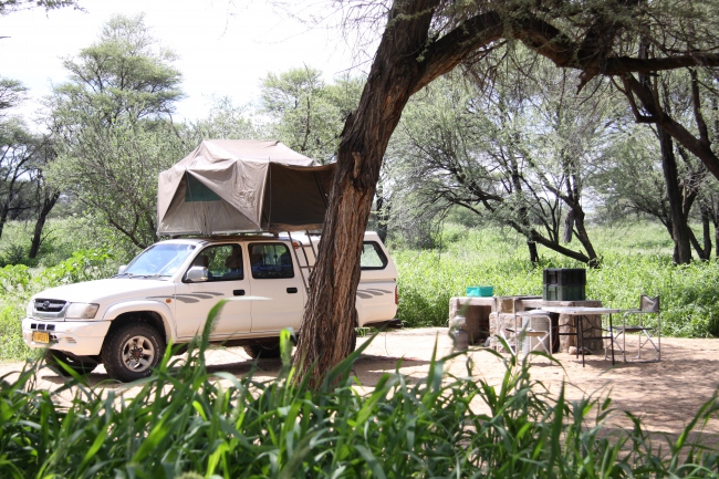 Die Campingplätze sind unter großen, schattenspendenden Bäumen gelegen - Namibia - 