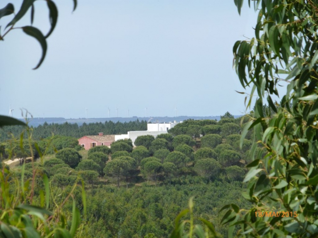 Unser Hotel liegt mitten in der Natur - Portugal - 