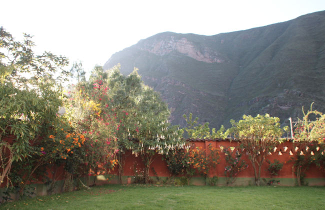Nachmittags im Garten - Peru - 