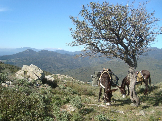 Schöne Auszeit für Mensch und Tier und wunderschöner Landschaft - Spanien - 