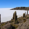 Salar de Uyuni - Boliviens Fischinsel