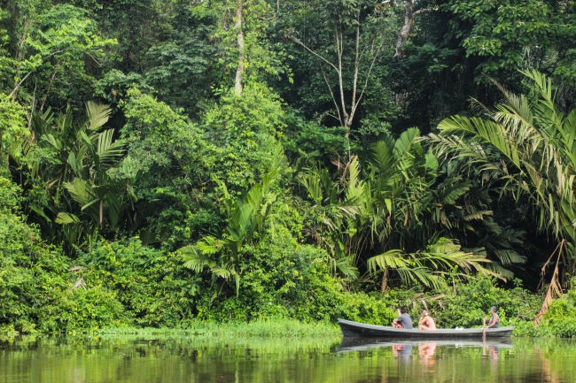 Kanal von Tortuguero im Regenwald Costa Ricas - Costa Rica - 