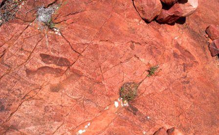 230 Millionen Jahre alte Dinosaurier-Spuren lassen finden sich in unserem Reservat finden - Namibia - 