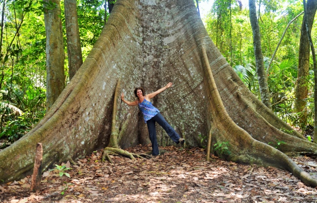 Annette im Amazonas Regenwald vor einem der größten Bäume der Welt - Brasilien - 