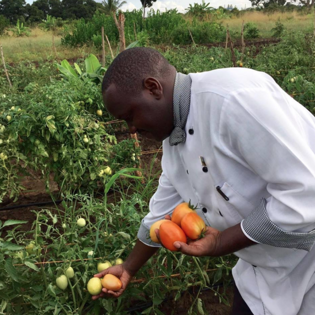 Frische Ernte in unserem Obst- und Gemüsegarten - Tansania - 