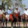 Cowboys of the Pantanal