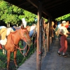 Pferde reiten auf der Ranch