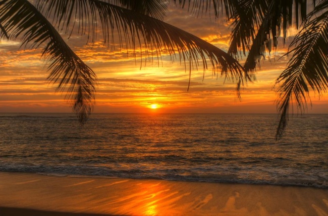 Die Sonnenuntergänge bei uns werden Sie niemals vergessen... - Sri Lanka - 