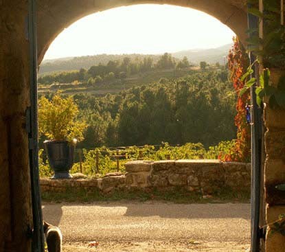 Ausblick auf die Weinterrassen - Frankreich - 