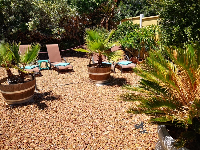 Garten mit Sonnenliegen - Südafrika - 