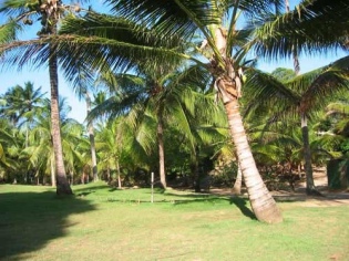 Bed and Breakfast im Palmengarten in Imbassai, Bahia