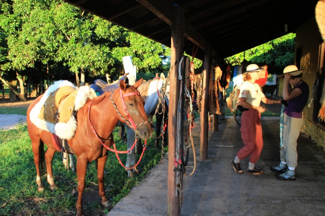 Pferde reiten auf der Ranch - Brasilien - 