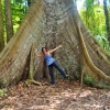 Annette im Amazonas Regenwald vor einem der größten Bäume der Welt
