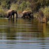 Der Natinalpark liegt direkt vor unserer Tür - auf unseren Safaris gibt es viel zu entdecken