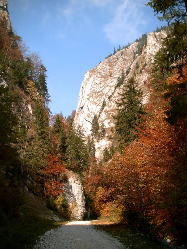 Piatra Craiului Schlucht im Herbst - Rumänien - 
