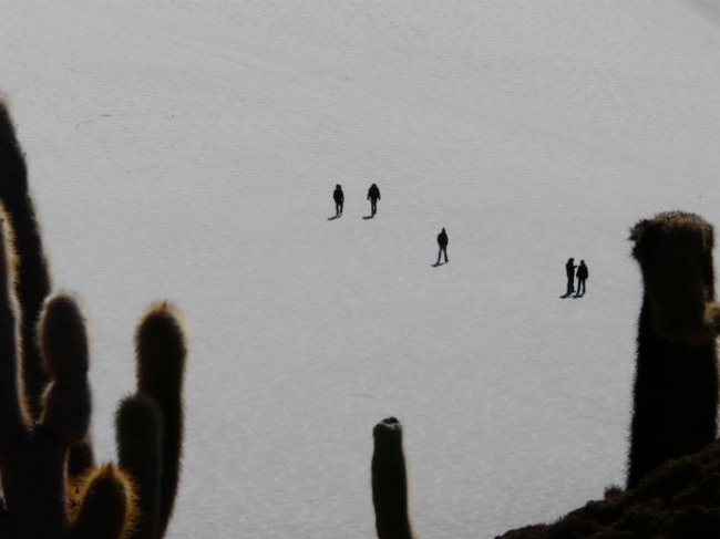 Zu den Hauptattraktionen in Bolivien zählt der Salar de Uyuni, die größte Salzpfanne der Welt. Mehrere Meter hohe Kakteen wachsen auf der Isla Pescado, einer uralten Koralleninsel. - Bolivien - 