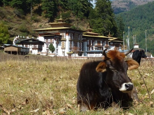 ... - Bhutan - 