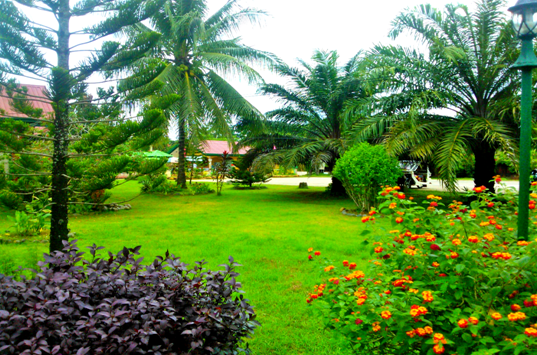 Unser Garten ist was für echte Naturfreunde - Philippinen - 