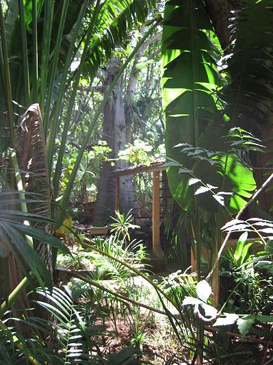 Unser Dschungel - Kenia - 