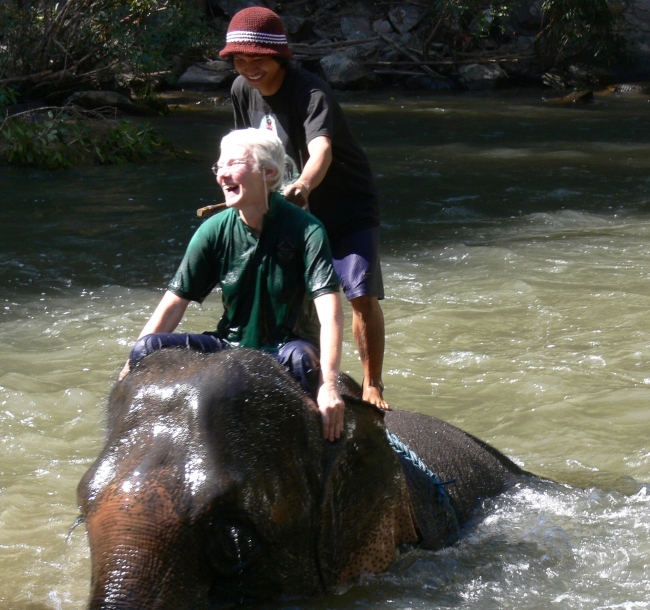 Elefanten-Wäsche - Thailand - 