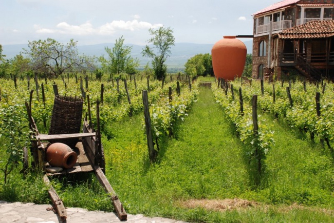 Besuch eines Weingutes in Kachetien - Georgien - 