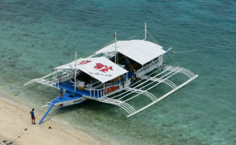 Inselhüpfen per Tauchboot - Bohol, Cabilao, Dauin, Malapascua