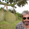 Schon mal eine Durian probiert? Gibt es in Malaysia!
