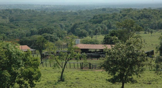 Eingebettet in üppiger Natur liegt unsere Ranch - Brasilien - 
