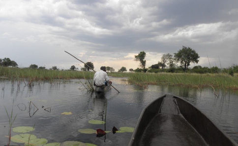 Safaris ins einzigartige Okavango Delta