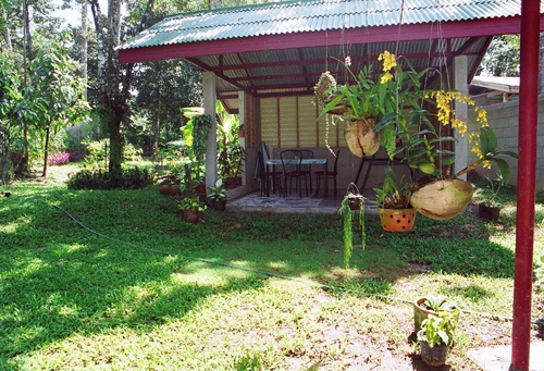 Garten hinter dem Haus - Thailand - 