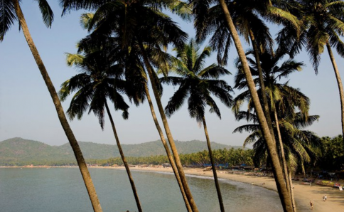 Bungalows, Zimmer und Baumhäuser nah am Strand im Süden Goas