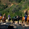 Erkunden Sie die Umgebung auf einem Pony-Trek - hier geht es gerade durch den Botsoela-Fluss