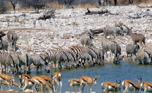 Maßgeschneiderte Touren & Safaris in Namibia und Botswana