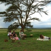 Picknick während einer Safari auf Solio 