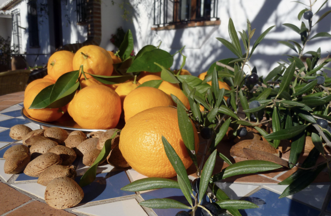Genießen Sie ganzjährig frische Orangen auf unserem Landgut und die selbstgemachten Konfitüren - Spanien - 